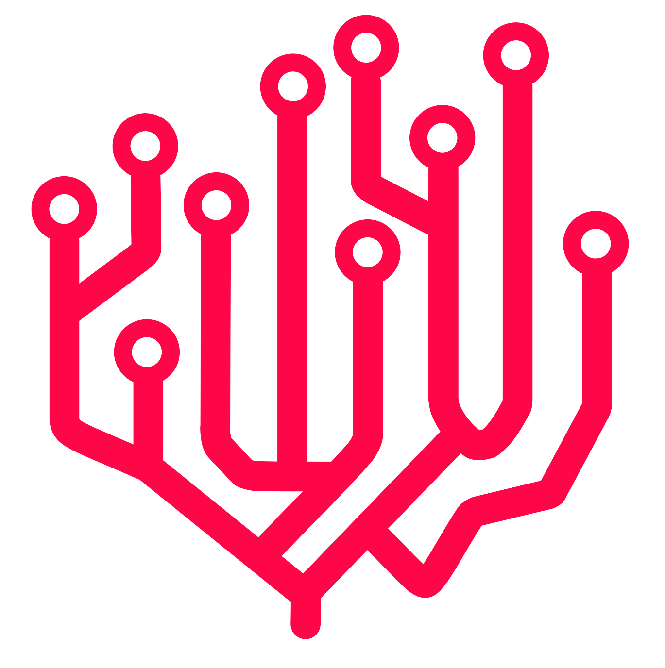Coral System Technologies Inc.